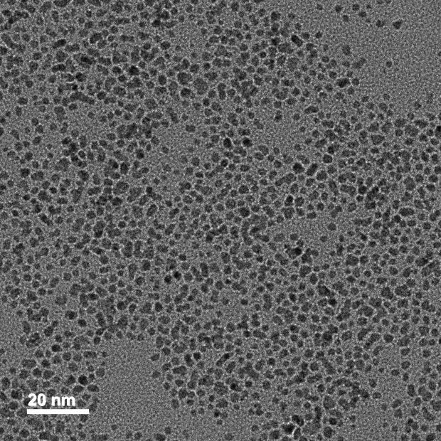 Pt NPs TEM.jpg Pt NPs TEM.jpg